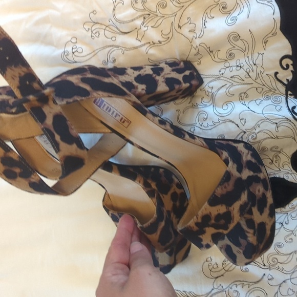 Leopard platforms - Picture 5 of 12